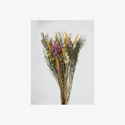 La Redoute 60cm Natural Dried Floral Bouquet - Natural Pampas & Pink Globe Amaranth
