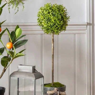 La Redoute 57cm Artificial Potted Tea Tree
