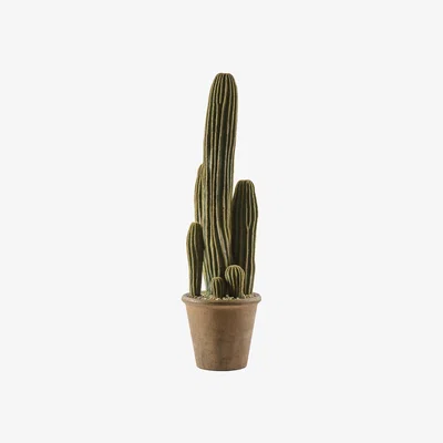 La Redoute 66cm Artificial Cactus San Pedro