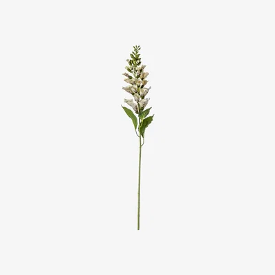 La Redoute Pack of 3 Foxglove Stems