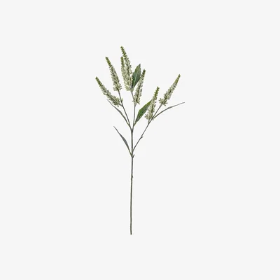 La Redoute Pack of 3 White Astilbe Spray