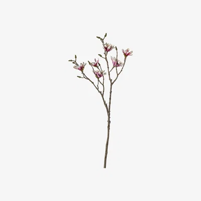La Redoute Pack of 3 Artificial Magnolia Spray