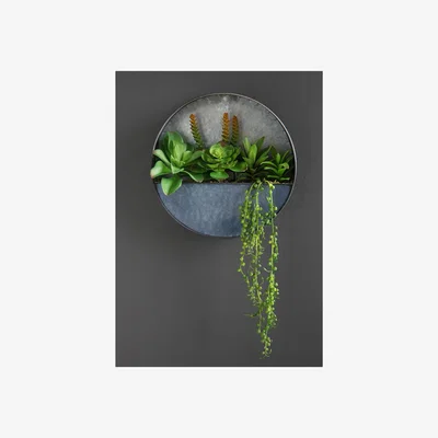 La Redoute 30cm Artificial Succulents in Metal Wall Planter