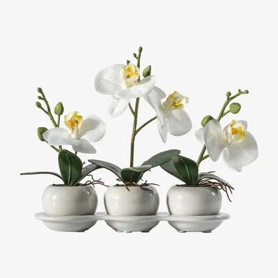 La Redoute 23cm Artificial Orchid Trio With Ceramic Tray