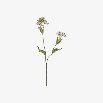 La Redoute Pack of 5 Astrantia Spray