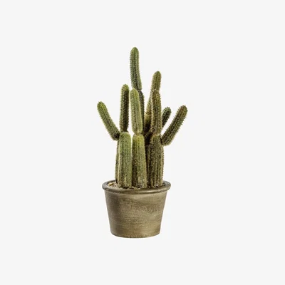 La Redoute 29cm Artificial Cactus Carnegiea