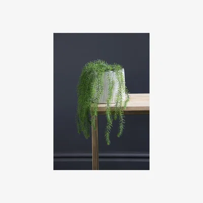 La Redoute "46cm Artificial Trailing Rosemary Plant