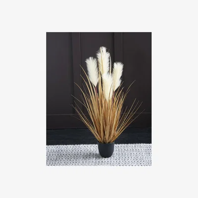 La Redoute 90cm Artificial Pampas in Cream