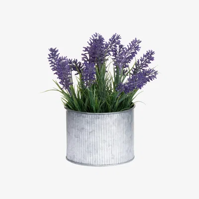 La Redoute 20cm Artificial Lavender in Metal Tin