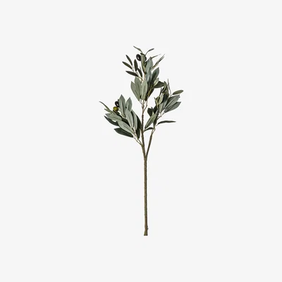 La Redoute Pack of 3 Artificial Olive Spray