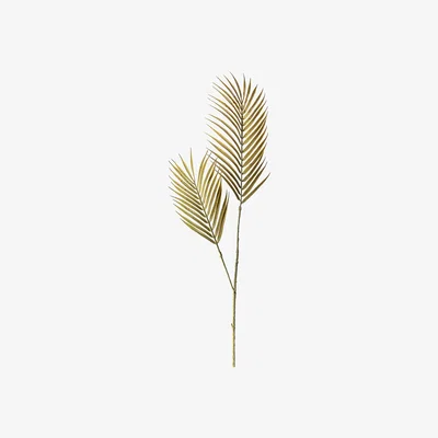 La Redoute Pack of 3 Palm Leaf Stems