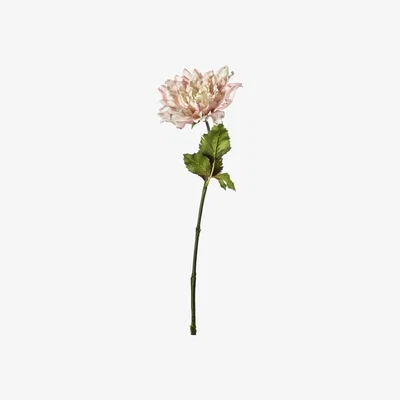 La Redoute Pack of 3 Dahlia Stems