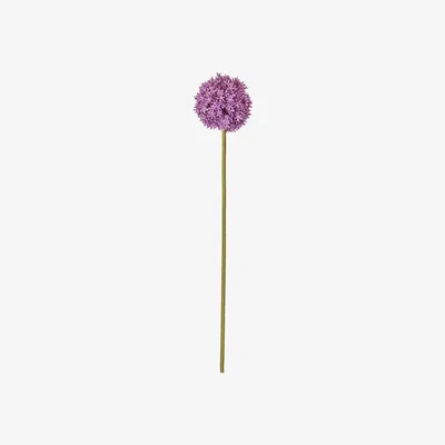 La Redoute Pack of 3 Allium Stems