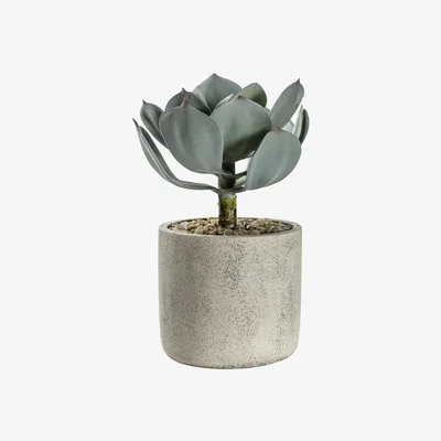 La Redoute Artificial Potted Echeveria With Cement Pot