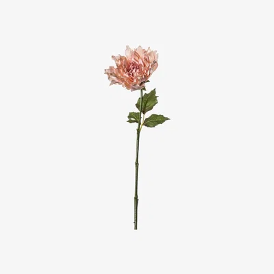 La Redoute Pack of 3 Dahlia Stems