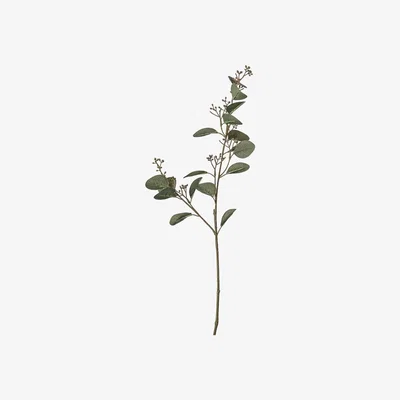 La Redoute Pack of 3 Eucalyptus Leaves