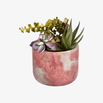 La Redoute 28cm Artificial Potted Succulent