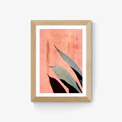 La Redoute Peach Cactus by Honeymoon Hotel