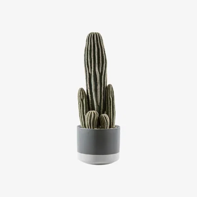 La Redoute 36cm Artificial Cactus San Pedro In Ceramic Pot