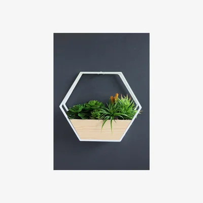 La Redoute 30.5cm Artificial Succulents in White Hexagon Planter