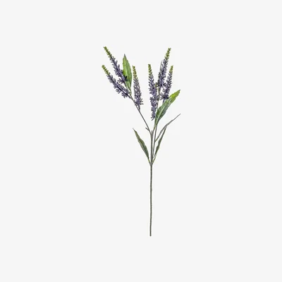 La Redoute Pack of 3 Lilac Astilbe Spray