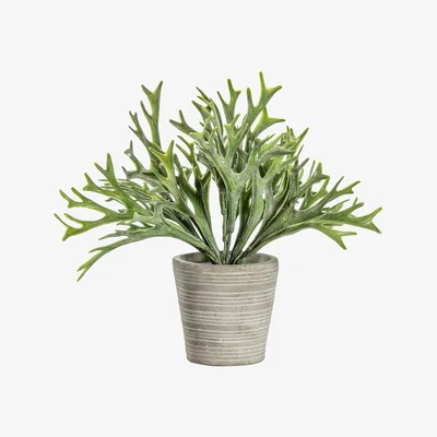 La Redoute 23cm Grass Cement Pot