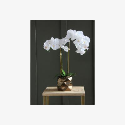 La Redoute 50cm Artificial Double Head White Real Touch Orchid in Bronze Pot