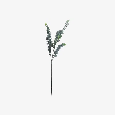 La Redoute Pack of 3 104cm Silver Dollar Eucalyptus