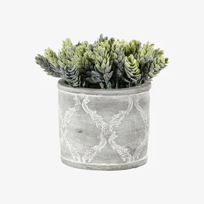 La Redoute Artificial Hops Green With Patterned Pot