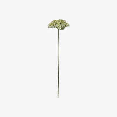La Redoute Pack of 3 Achillea Stems