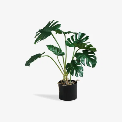 La Redoute 85cm Artificial Monstera/Cheese Plant
