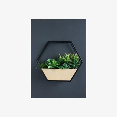 La Redoute 30.5cm Artificial Succulents in Black Hexagon Planter