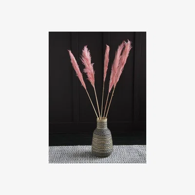 La Redoute 120cm Natural Dried Pampas Grass in Pink (5 stems)