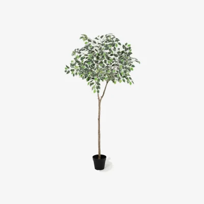 Marks & Spencer Blooming Artificial Artificial 5ft Ficus Topping Tree Green