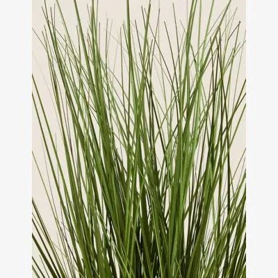 Marks & Spencer Moss & Sweetpea Artificial Grass in Metal Cup Planter - Beige, Beige