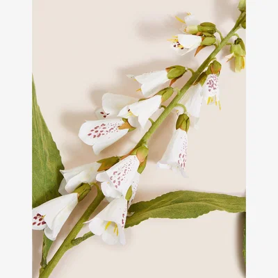 Marks & Spencer Moss & Sweetpea Set of 2 Artificial Foxglove Single Stems - White, White