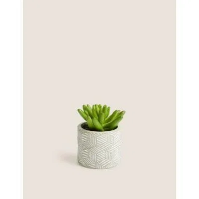 Marks & Spencer M&S Artificial Mini Succulent in Concrete Pot - Green, Green