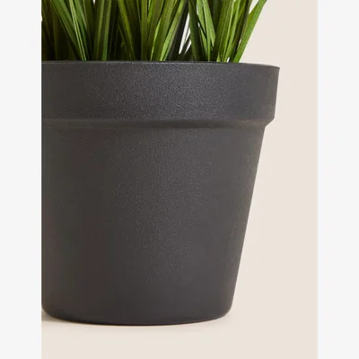 Marks & Spencer Moss & Sweetpea Artificial Grass in Plastic Pot - Green, Green