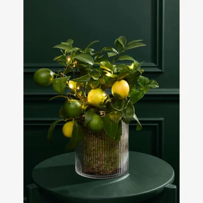 Marks & Spencer M&S Flower Market Festive Citrus Tree in Mercury Glass Pot with Lights