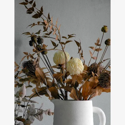 Marks & Spencer Gallery Home Set of 6 Artificial Dried Poppy Pod Single Stems - Cream, Cream