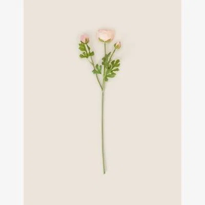Marks & Spencer Moss & Sweetpea Set of 2 Artificial Ranunculus Real Touch Stems - Pink, Pink