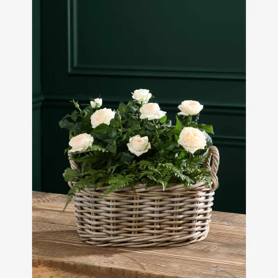 Marks & Spencer M&S Flower Market Mixed Rose in Kubu Basket