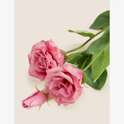 Marks & Spencer Moss & Sweetpea Set of 2 Artificial Real Touch Lisianthus Stems - Peach, Peach