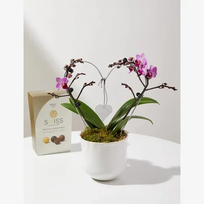 Marks & Spencer M&S Amethyst Heart Orchid & Swiss Truffles Bundle