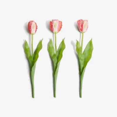 Marks & Spencer M&S Set of 3 Artificial Tulip Single Stems - Pink, Pink