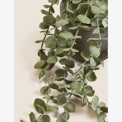 Marks & Spencer Moss & Sweetpea Artificial String of Hearts in Concrete Pot - Green, Green