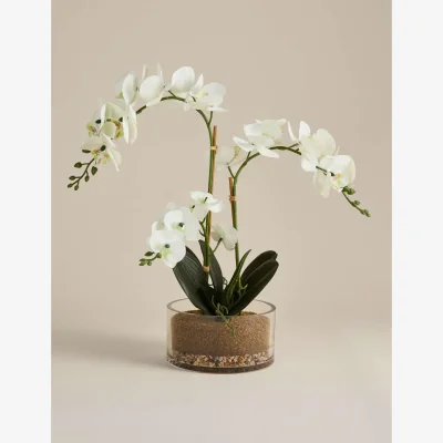 Marks & Spencer M&S Artificial Large Orchid in Glass Pot White