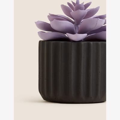 Marks & Spencer Moss & Sweetpea Artificial Mini Succulent in Concrete Pot - Black, Black