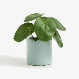 Marks & Spencer M&S Artificial Mini Chinese Money Plant in Pot - Blue, Blue