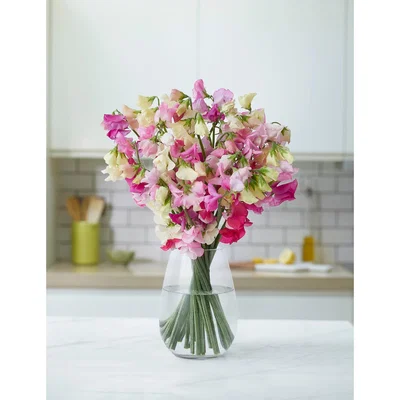 Marks & Spencer M&S Sweet Pea Bouquet